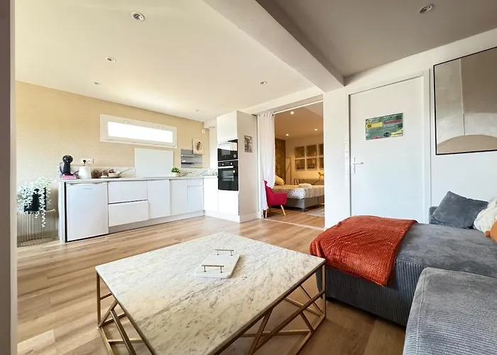 Maison Chanteranne Avec Parking Gratuit Lägenhet